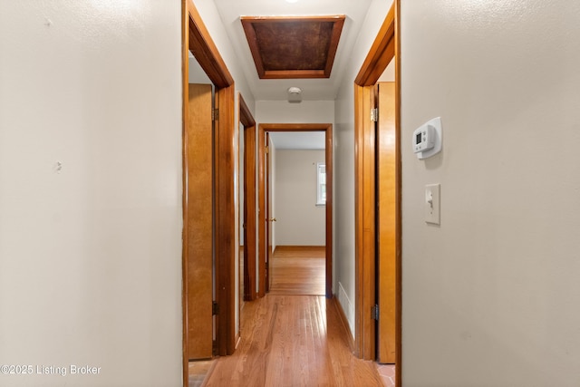8703 Fernview Dr, Louisville, KY 40291 - corridor featuring light wood finished floors and baseboards