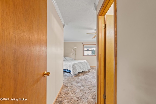 8703 Fernview Dr, Louisville, KY 40291 - hall featuring ornamental molding, carpet flooring, and a textured ceiling