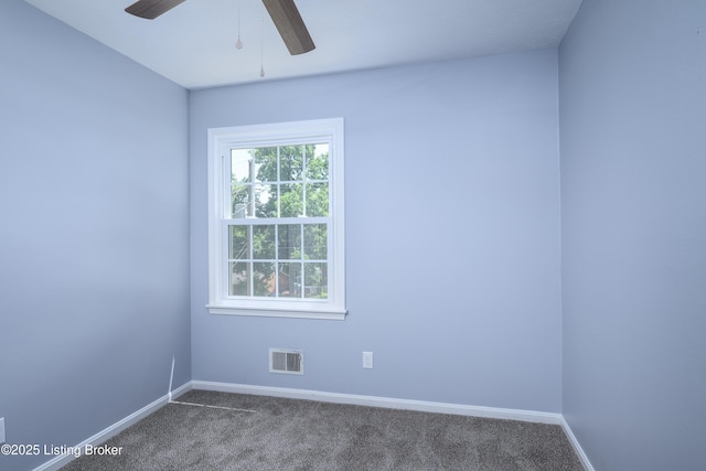 12525 Live Oak Dr, Louisville, KY 40243 - photo 27