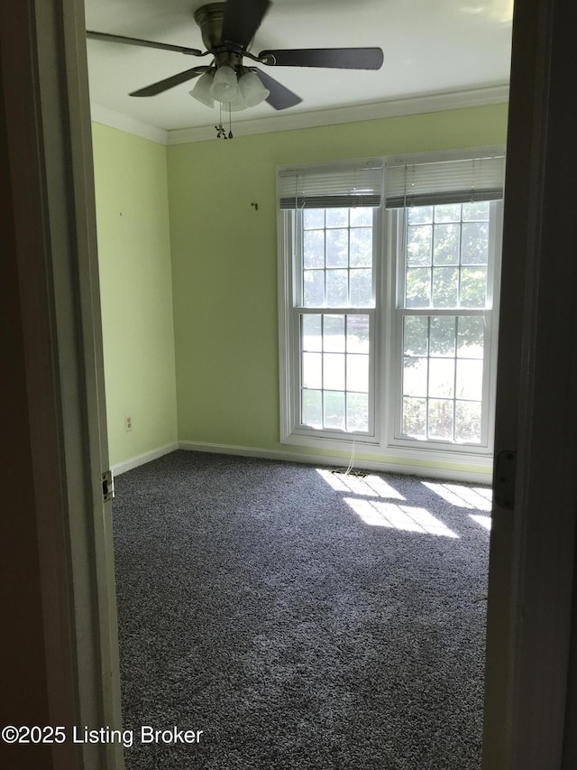 1105 Fawn Ct, La Grange, KY 40031 - photo 22