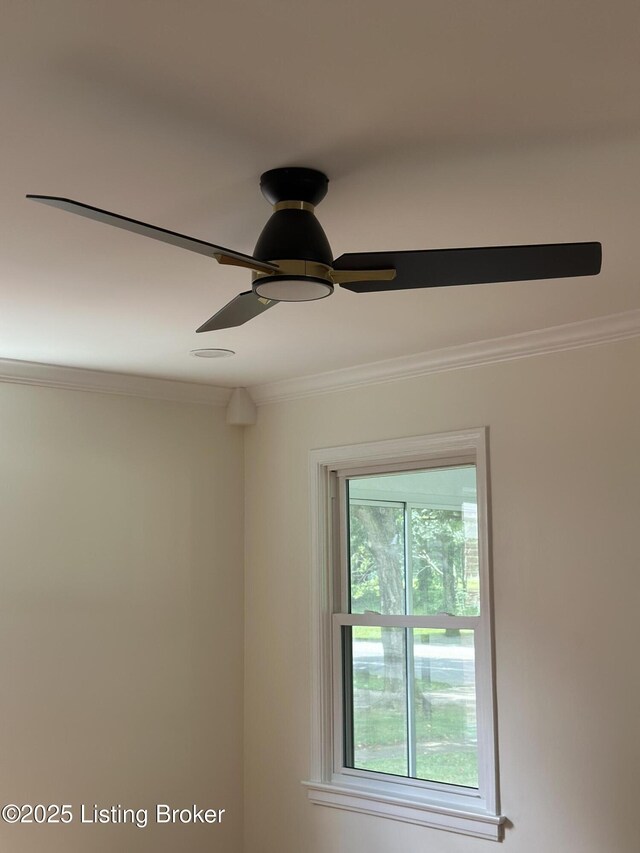 1017 Southwestern Pkwy, Louisville, KY 40211 - photo 17