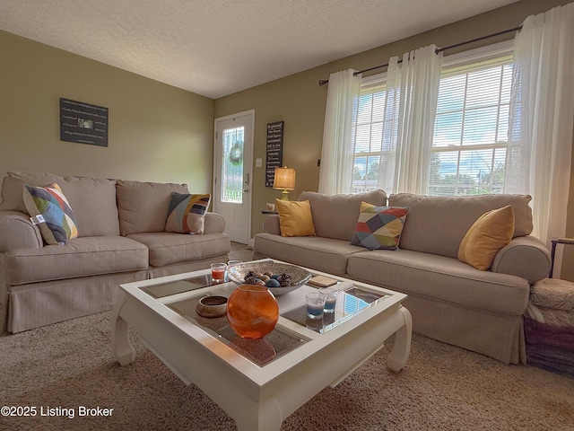 1410 Sycamore Ln, Leitchfield, KY 42754 - living area featuring carpet flooring, healthy amount of natural light, and a textured ceiling