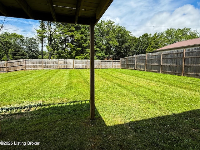 1410 Sycamore Ln, Leitchfield, KY 42754 - view of fenced backyard