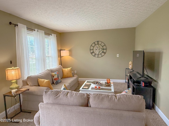 1410 Sycamore Ln, Leitchfield, KY 42754 - living room with a textured ceiling and carpet flooring