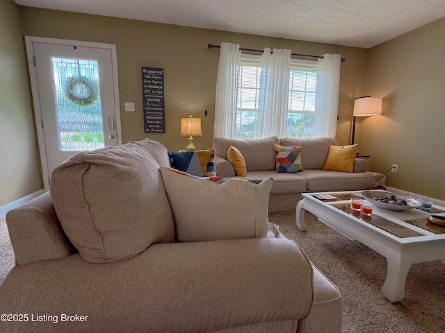 1410 Sycamore Ln, Leitchfield, KY 42754 - carpeted living room featuring a textured ceiling