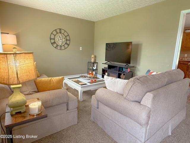 1410 Sycamore Ln, Leitchfield, KY 42754 - living room with carpet and a textured ceiling