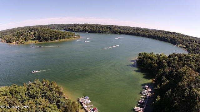 171 Cedar Point Rd, Bee Spring, KY 42207 - drone / aerial view of a forest