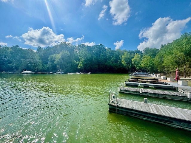 171 Cedar Point Rd, Bee Spring, KY 42207 - dock featuring a water view and a view of trees