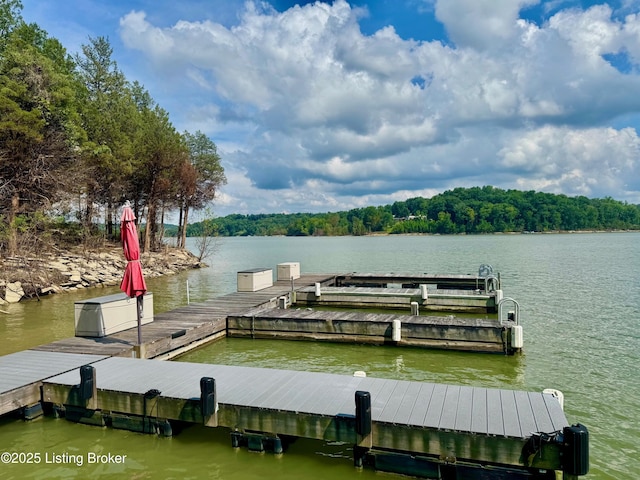 171 Cedar Point Rd, Bee Spring, KY 42207 - dock area with a water view