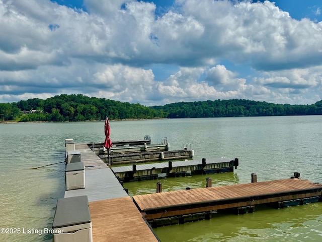 171 Cedar Point Rd, Bee Spring, KY 42207 - dock area featuring a water view and a forest view