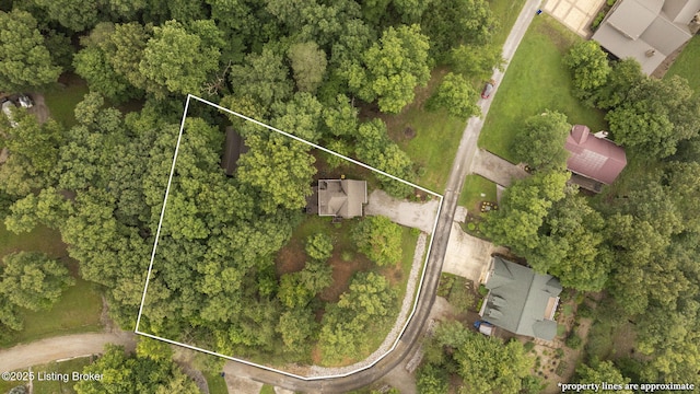 171 Cedar Point Rd, Bee Spring, KY 42207 - aerial overview of property's location featuring property boundaries highlighted