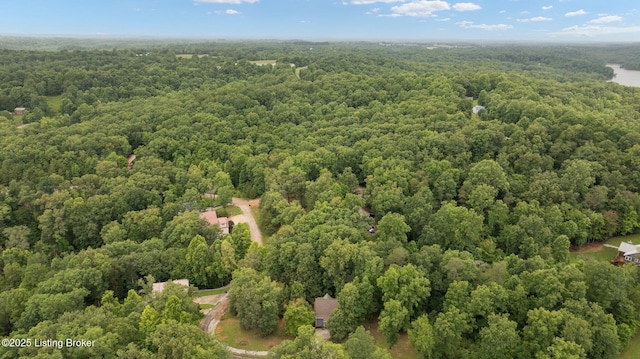 171 Cedar Point Rd, Bee Spring, KY 42207 - bird's eye view of a forest