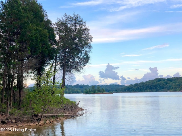 171 Cedar Point Rd, Bee Spring, KY 42207 - water view with a forest