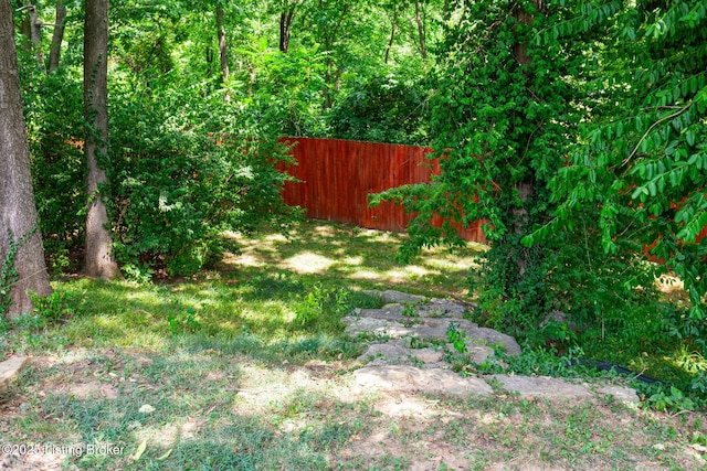 1007 Corn Island Ct, Louisville, KY 40207 - photo 93