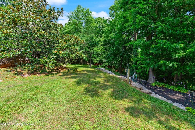 1007 Corn Island Ct, Louisville, KY 40207 - photo 95