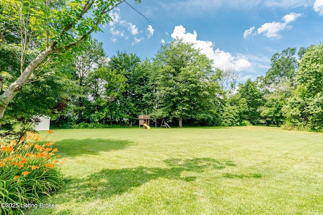 3210 La Vel Ln, Louisville, KY 40216 - photo 22