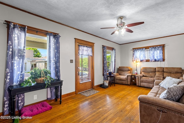 937 Mulberry St, Louisville, KY 40217 - photo 3