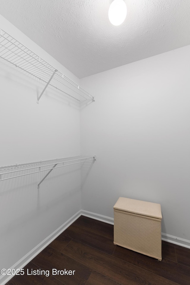 1209 Taxus Top Ln Unit 104, Louisville, KY 40243 - photo 22