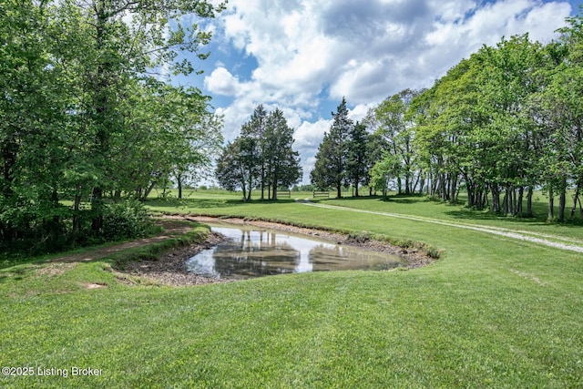 1974 N Grandview Church Rd, Cecilia, KY 42724 - view of community featuring a lawn and a water view