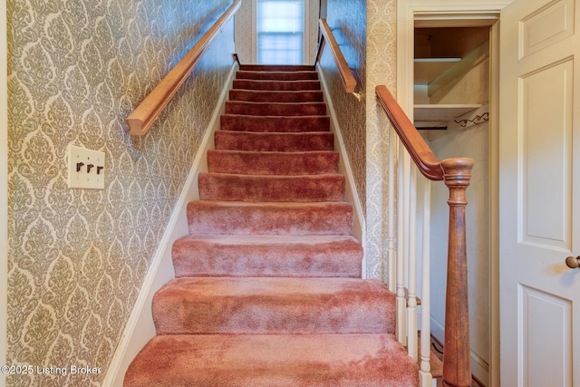 226 S Hampton Rd, Louisville, KY 40223 - photo 13