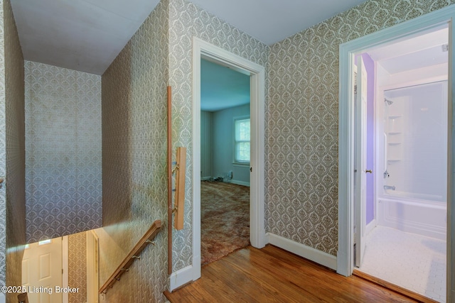 226 S Hampton Rd, Louisville, KY 40223 - photo 14