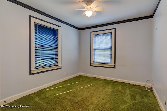 226 S Hampton Rd, Louisville, KY 40223 - photo 18