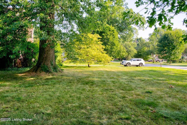226 S Hampton Rd, Louisville, KY 40223 - photo 30