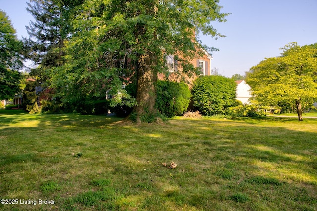 226 S Hampton Rd, Louisville, KY 40223 - photo 31