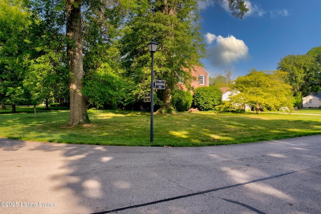 226 S Hampton Rd, Louisville, KY 40223 - photo 41