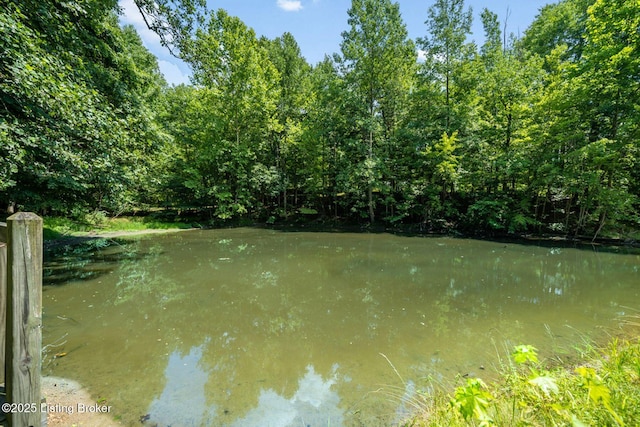 3821 Blevins Gap Rd, Louisville, KY 40272 - photo 44