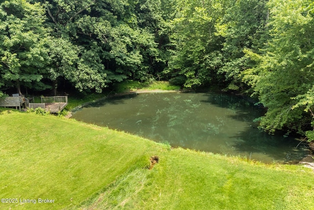 3821 Blevins Gap Rd, Louisville, KY 40272 - photo 45