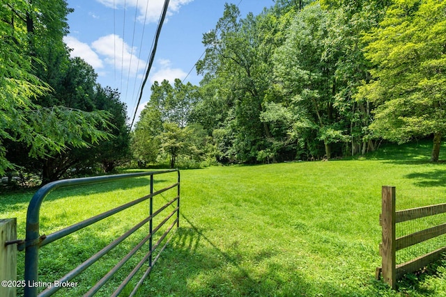 3821 Blevins Gap Rd, Louisville, KY 40272 - photo 48