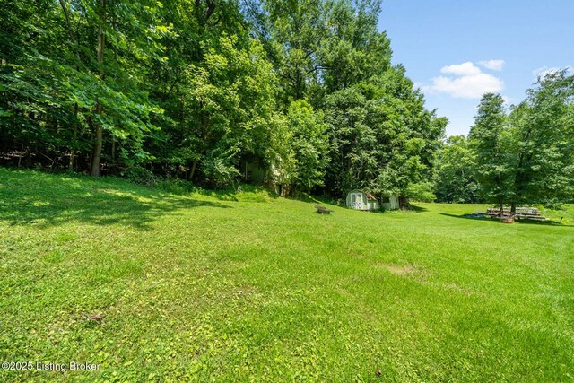 3821 Blevins Gap Rd, Louisville, KY 40272 - photo 49