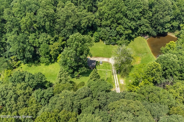 3821 Blevins Gap Rd, Louisville, KY 40272 - photo 51