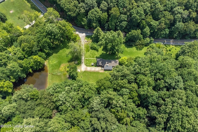3821 Blevins Gap Rd, Louisville, KY 40272 - photo 52