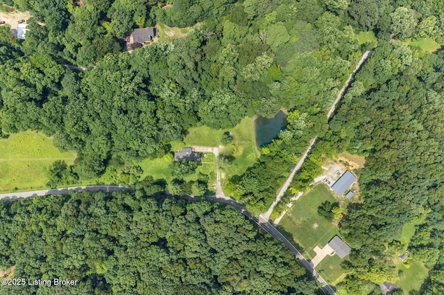3821 Blevins Gap Rd, Louisville, KY 40272 - photo 54
