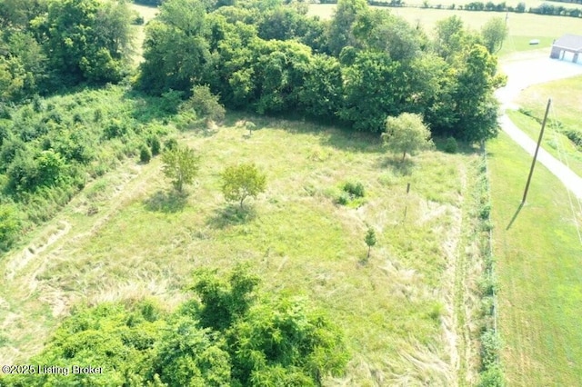 1001 Caney Fork Rd, Bardstown, KY 40004 - drone / aerial view