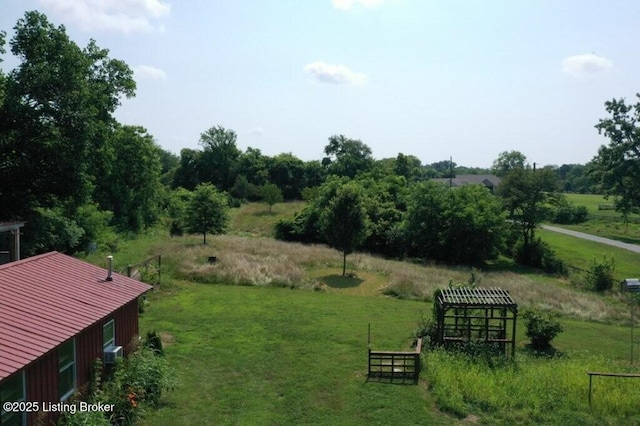 1001 Caney Fork Rd, Bardstown, KY 40004 - view of green lawn with a rural view