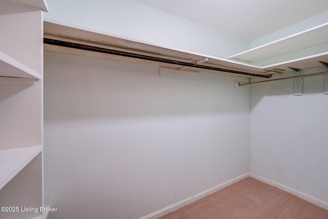 4100 Elmwood Ave, Louisville, KY 40207 - photo 21