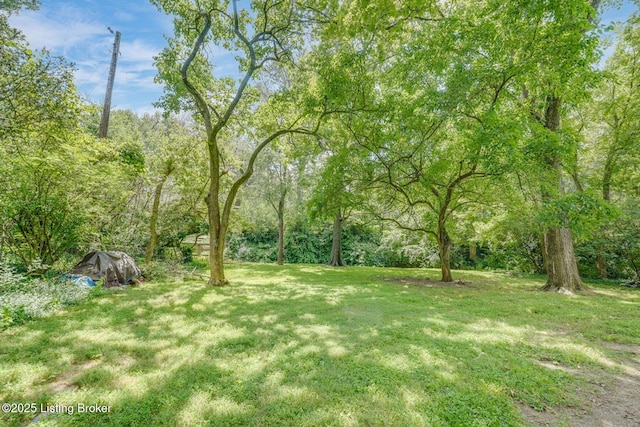 4100 Elmwood Ave, Louisville, KY 40207 - photo 41