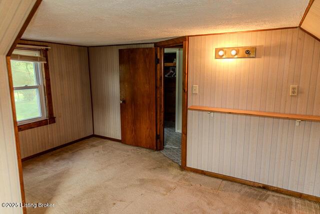 4883 S Reeves Rd, Scottsburg, IN 47170 - carpeted spare room with wood walls and a textured ceiling