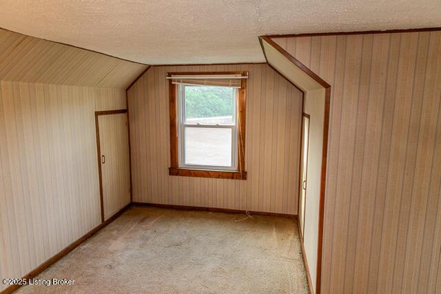 4883 S Reeves Rd, Scottsburg, IN 47170 - additional living space with lofted ceiling, a textured ceiling, and light carpet