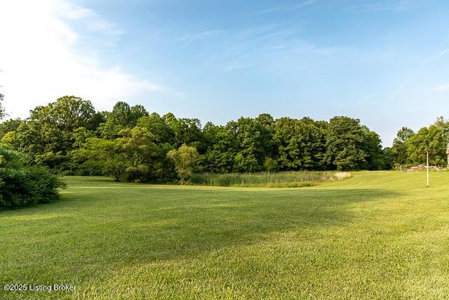 4883 S Reeves Rd, Scottsburg, IN 47170 - view of green lawn