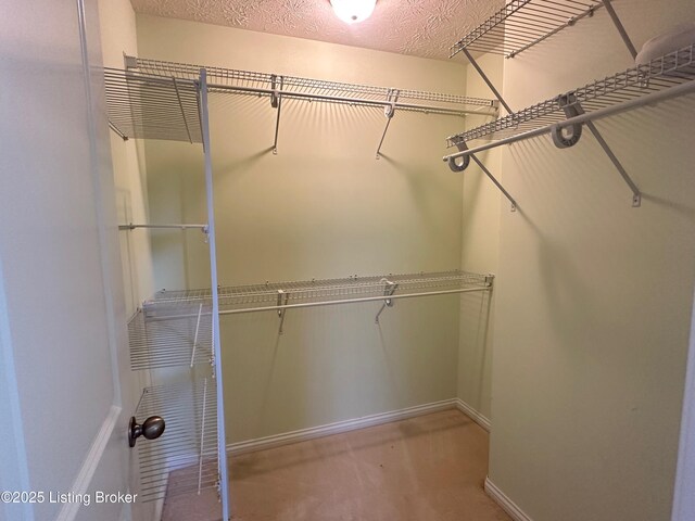 8 San Juan Ct, Elizabethtown, KY 42701 - view of spacious closet