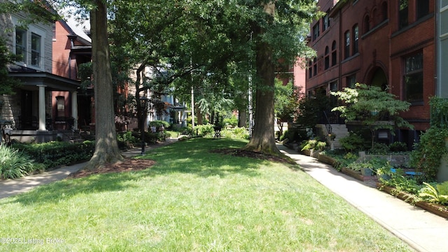 416 Belgravia Ct, Louisville, KY 40208 - view of green lawn