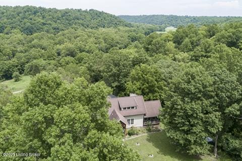 957 Smith Ln, Bedford, KY 40006 - photo 55