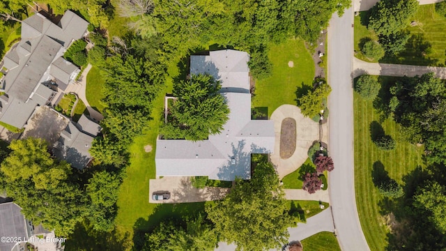8904 Ayrshire Ave, Louisville, KY 40222 - photo 5