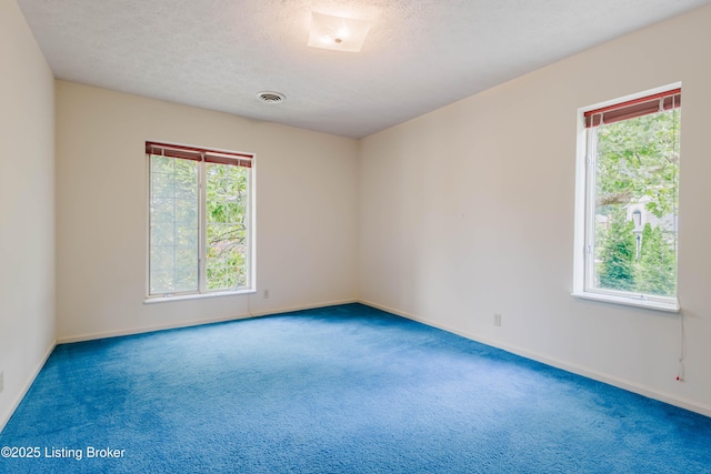 8904 Ayrshire Ave, Louisville, KY 40222 - photo 98