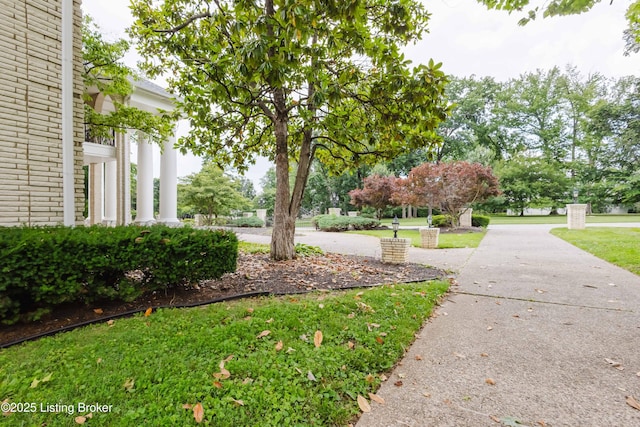 8904 Ayrshire Ave, Louisville, KY 40222 - photo 127
