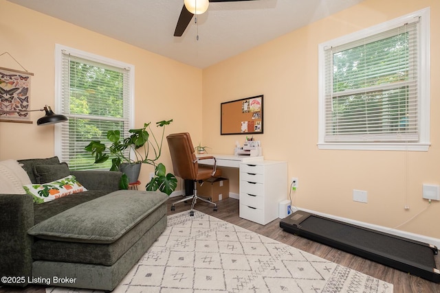 1008 E Mailback Way, Crestwood, KY 40014 - home office with ceiling fan and wood finished floors